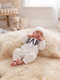 Sticky Image